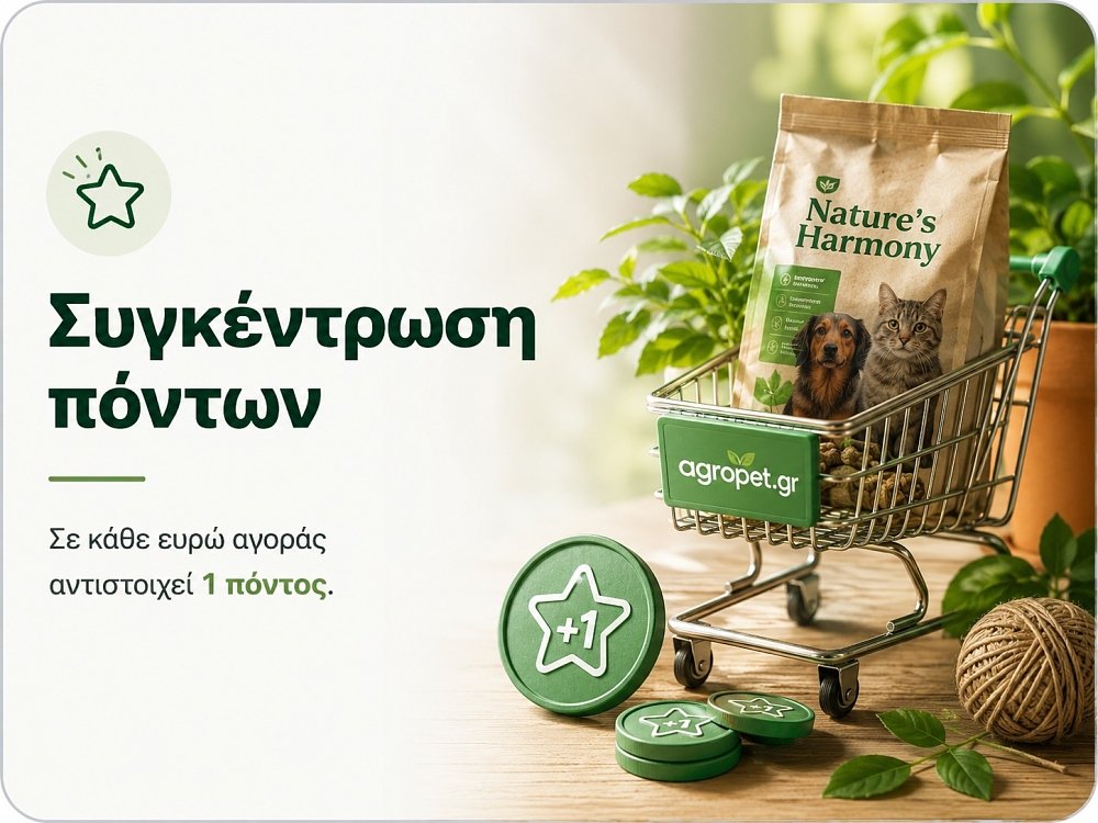 Συγκέντρωση πόντων