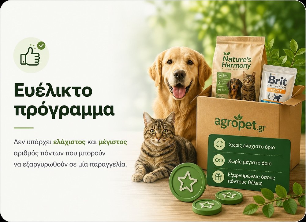 Ευέλικτο πρόγραμμα