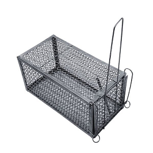 ΠΟΝΤΙΚΟΠΑΓΙΔΑ ΦΑΚΑ ΜΕΤΑΛΛΙΚΗ