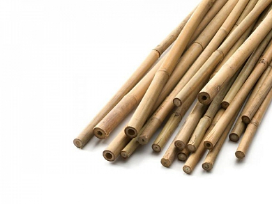 ΒΕΡΓΑ ΣΤΗΡΙΞΗΣ ΦΥΤΩΝ BABOO Φ16Χ1800mm