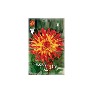 ΝΤΑΛΙΑ (ΦΑΚ.1τεμ) VUURVOGEL