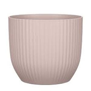 Πλαστικό Κασπώ Blush Rose 231/24