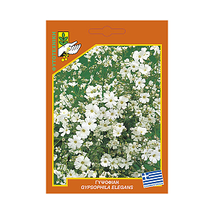 ΦΑΚΕΛΑ ΓΥΨΟΦΥΛΛΗ