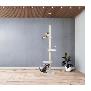 ΟΝΥΧΟΔΡΟΜΙΟ ΓΑΤΑΣ (38Χ34Χ216,246) JUNGLE