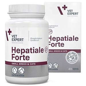 HEPATIALE FORTE SB&C 40 ΚΑΨΟΥΛΕΣ