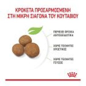 Royal Canin Shn Maxi Puppy 3kg -20%