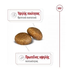 Royal Canin Maxi Light 12kg +12x85grΦακελάκια Δώρο