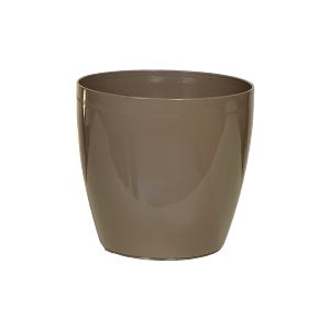 ΓΛΑΣΤΡΑΚΙΑ ΝΟ695