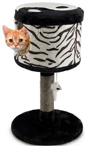 ΟΝΥΧΟΔΡΟΜΙΟ ΓΑΤΑΣ ΚΑΘΙΣΜΑ ΜΕ ΠΑΙΧΝ 36.5*3