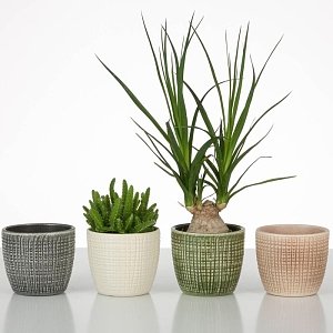 ΚΑΣΠΩ ΚΕΡΑΜΙΚΟ MINI CORTEZA 866/10