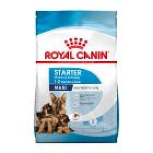 Royal Canin Dog Shn Maxi Starter Mother&Baby 15kg