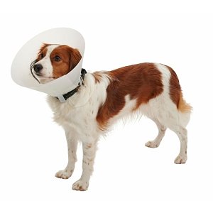 ΚΟΛΑΡΟ ΕΛΙΣΑΒΕΤ CLASSIC 7,5cm 