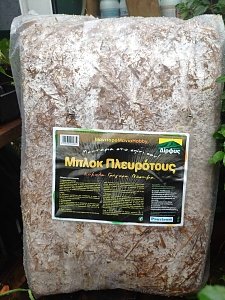 ΜΑΝΙΤΑΡΙΑ ΥΠΟΣΤΡΩΜΑ PLEUROTUS