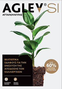 Ατταπουλγίτης Aglev Κοκκώδης 20kg SI200