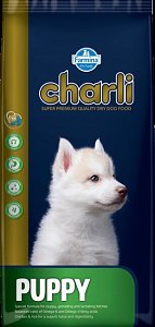 Charli Dog Puppy 15Kg