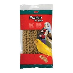 PADOVAN PANICO IN SPIGA