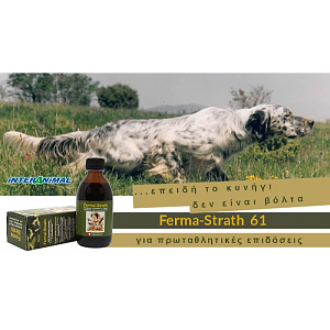 FERMA STRATH 250ml