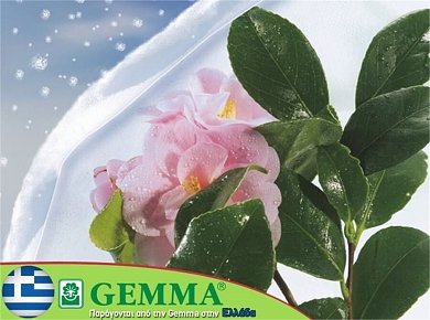 ΑΝΤΙΠΑΓΕΤΙΚΕΣ ΚΟΥΚΟΥΛΕΣ ΣΥΣΚΕΥΑΣΜΕΝΕΣ ΣΕΤ ΜΕΓΑΛΕΣ 