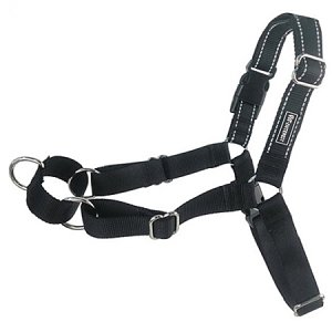 Go Get Dog Training Guide  Harness &Leash med