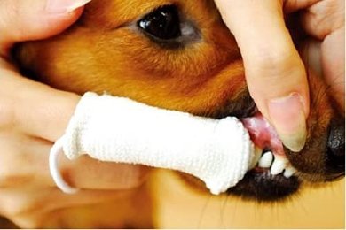 ΚΑΘΑΡΙΣΤΙΚΟ ΠΑΝΑΚΙ ΣΤΟΜΑΤΙΚΗΣ ΚΟΙΛΟΤΗΤΑΣ