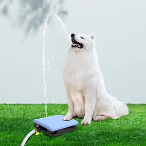 ΣΥΝΤΡΙΒΑΝΙ ΣΚΥΛΟΥ