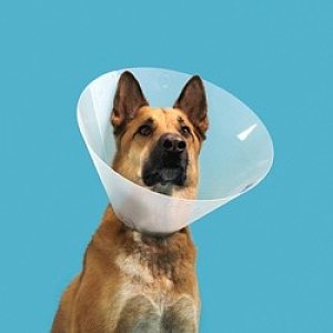 ΚΟΛΑΡΟ ΕΛΙΣΑΒΕΤ CLIC 25 cm CAREMAX