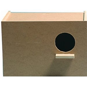 ΠΑΠΑΓΑΛΟΦΩΛΙΑ ΓΙΑ ΚΟΚΑΤΙΛ 