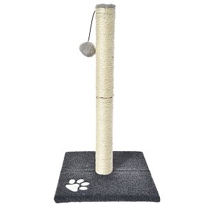 ΟΝΥΧΟΔΡΟΜΙΟ ΓΑΤΑΣ