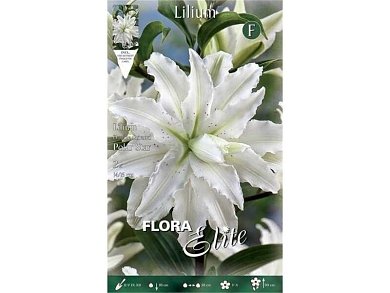 ΛΙΛΙΟΥΜ ΟΡΙΕΝΤΑΛ ΔΙΠΛΟ (ΦΑΚ. 2 τεμ) POLAR STAR