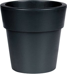 ΓΛΑΣΤΡΑ ΛΙΝΕΑ ΜΟΛΥΒΙ 2Lt