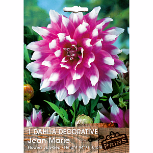  ΝΤΑΛΙΑ (ΦΑΚ. 1 τεμ) JEAN MARIE