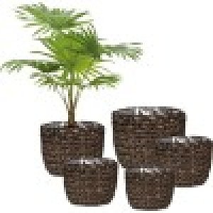 ΨΑΘΙΝΟ ΚΑΣΠΩ WATER HYAKINTH BROWN 505/25