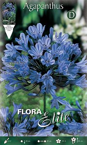 ΑΓΑΠΑΝΘΟΣ (ΦΑΚ. 1 τεμ) BLUE