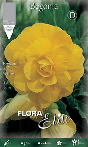 ΜΠΙΓΟΝΙΑ (ΦΑΚ. 3 τεμ) DOUBLE YELLOW