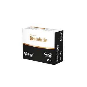 BENTOACTIV 30tabs