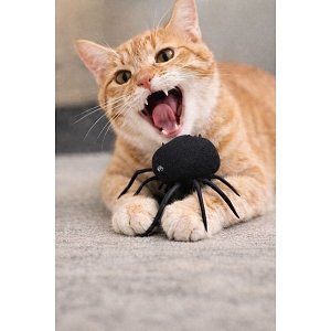 Παιχνιδι Γατας ''The Purr-Tector''No6