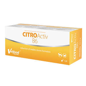 CITROACTIV B6-UROFORCE 120caps