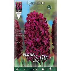 ΖΟΥΜΠΟΥΛΙ WOODSTOCK