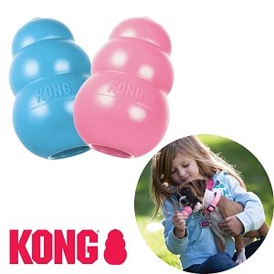 Kong Puppy Small 