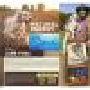 Primordial Dog Adult Tuna & Lamb 12kg