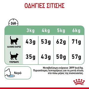Royal Canin Cat FCN Digestive Care 400g