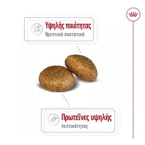 Royal Canin Dog SHN Maxi Adult 15kg+3kg