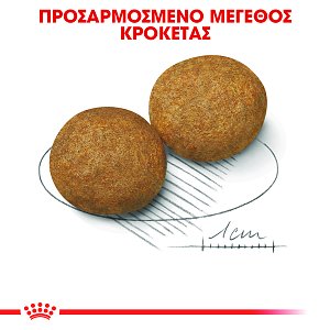 Royal Canin Dog SHN Medium Adult 15kg