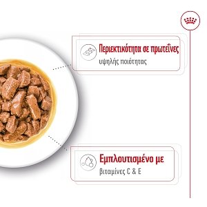 Royal Canin Dog Shn Medium Adult 140gr