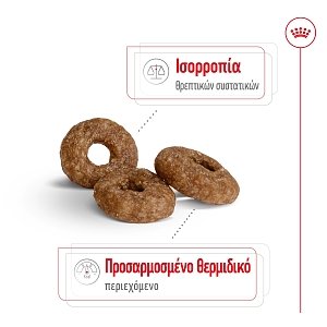 Royal Canin Dog SHN Mini Ageing 12+ 3,5kg