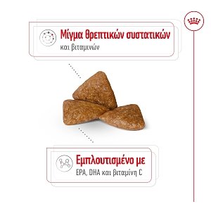 Royal Canin Dog SHN XMALL Ageing 12+ 1,5kg