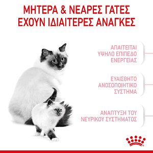 Royal Canin Cat  FHN Mother & Babycat 2kg