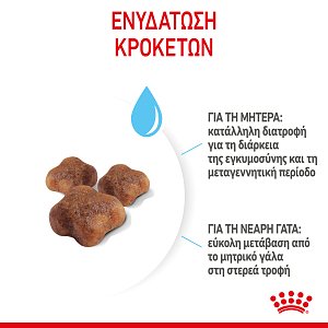 Royal Canin Cat  FHN Mother & Babycat 2kg