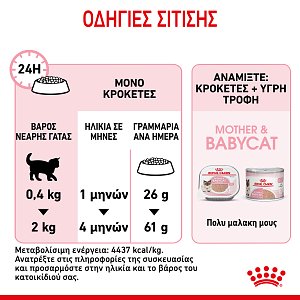 Royal Canin Cat FHN Mother & Babycat 2kg