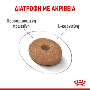 Royal Canin Dog CCN Mini Light Weight Care 1KG